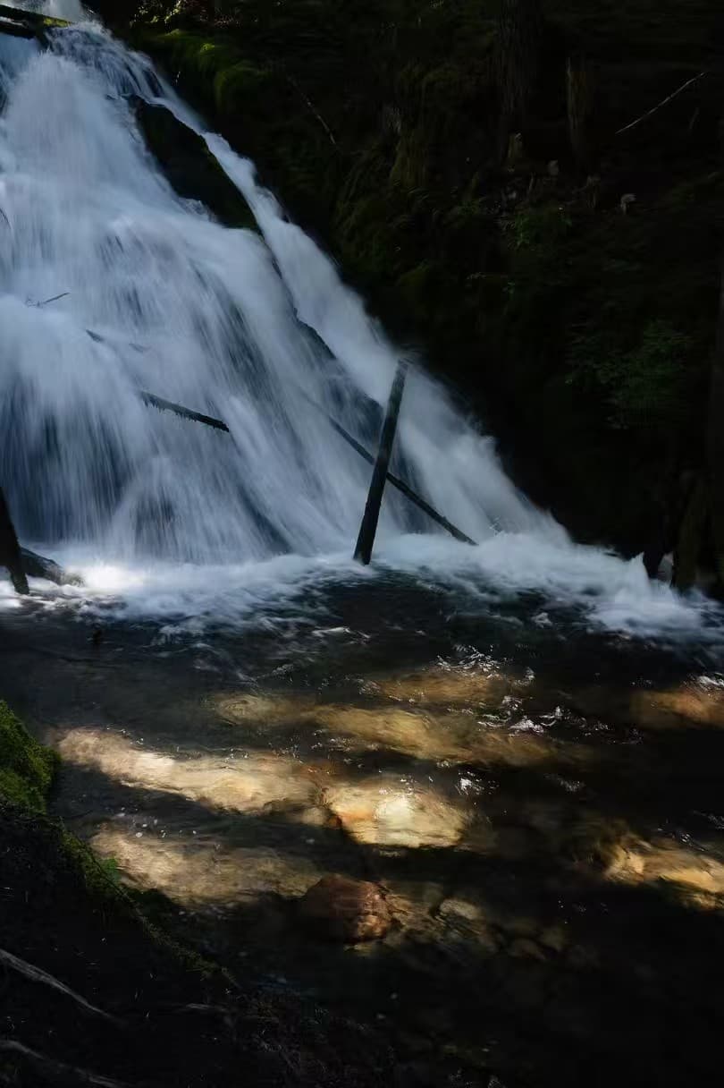 Photography 16