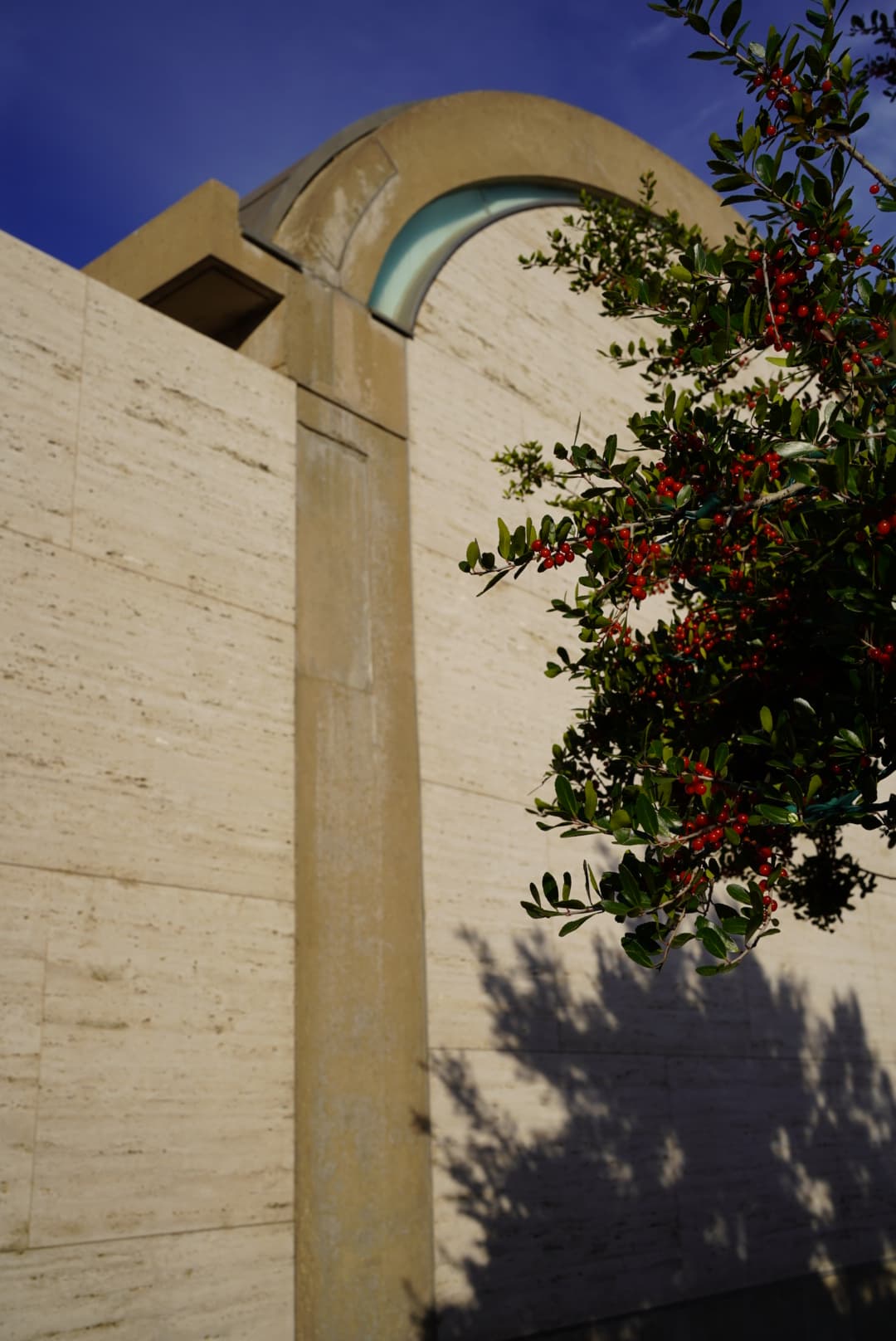 Photography 6