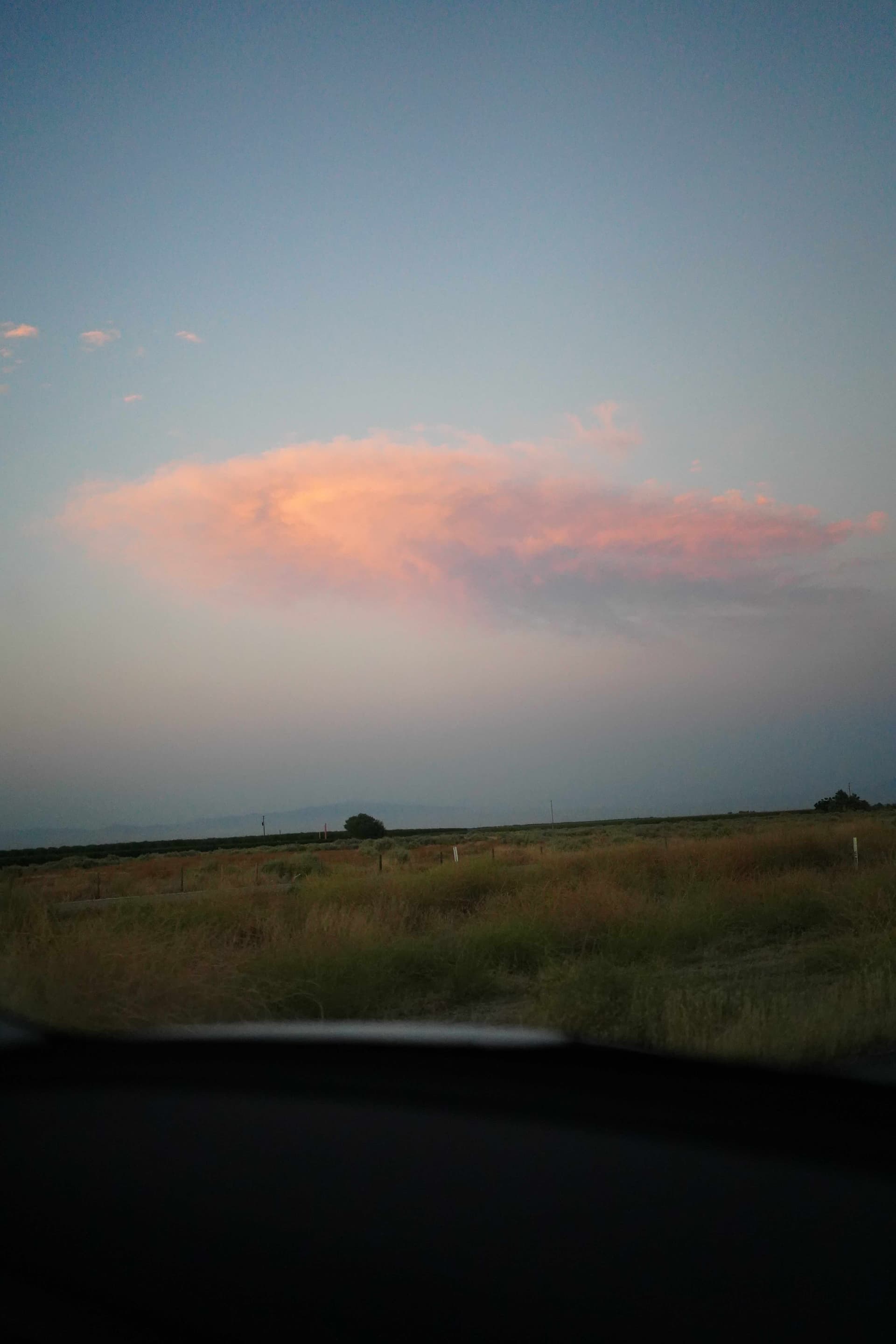 Photography 7
